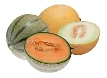 Cantaloupe Melone und Galiamelone