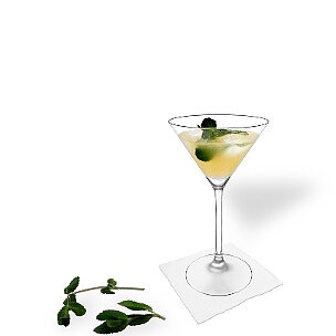 Martini Gläser sind eine weitere gute Möglichkeit für Whisky Sour.